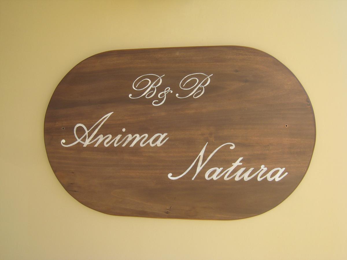 B&B Anima Natura Modène Extérieur photo